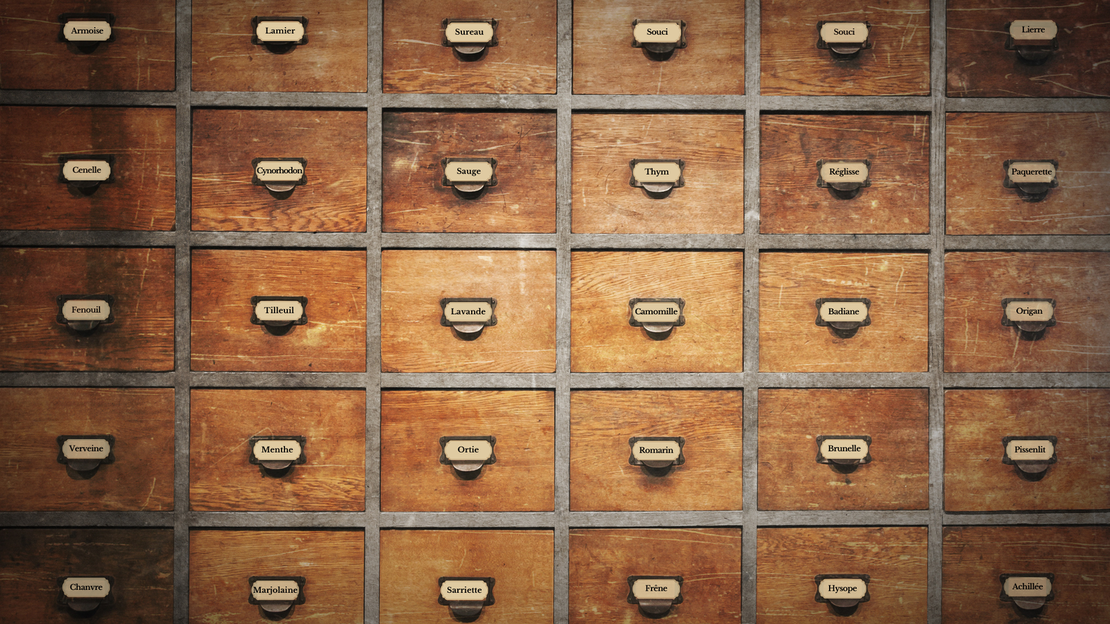 Activité pédagogique Storyline pour le module e-learning asynchrone "Tisanes d'Hiver"