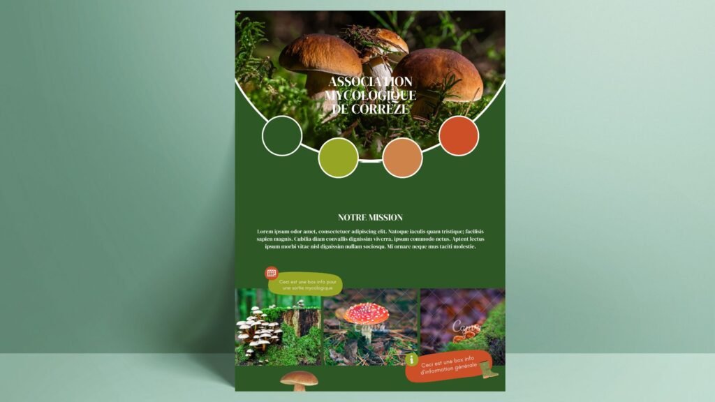 Conception et création d'une identité visuelle pour une association