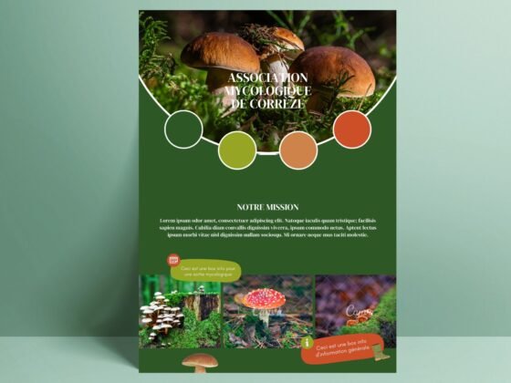 Conception et création d'une identité visuelle pour une association