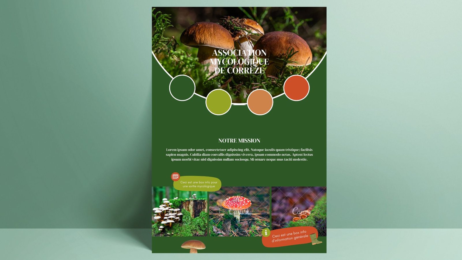 Conception et création d'une identité visuelle pour une association