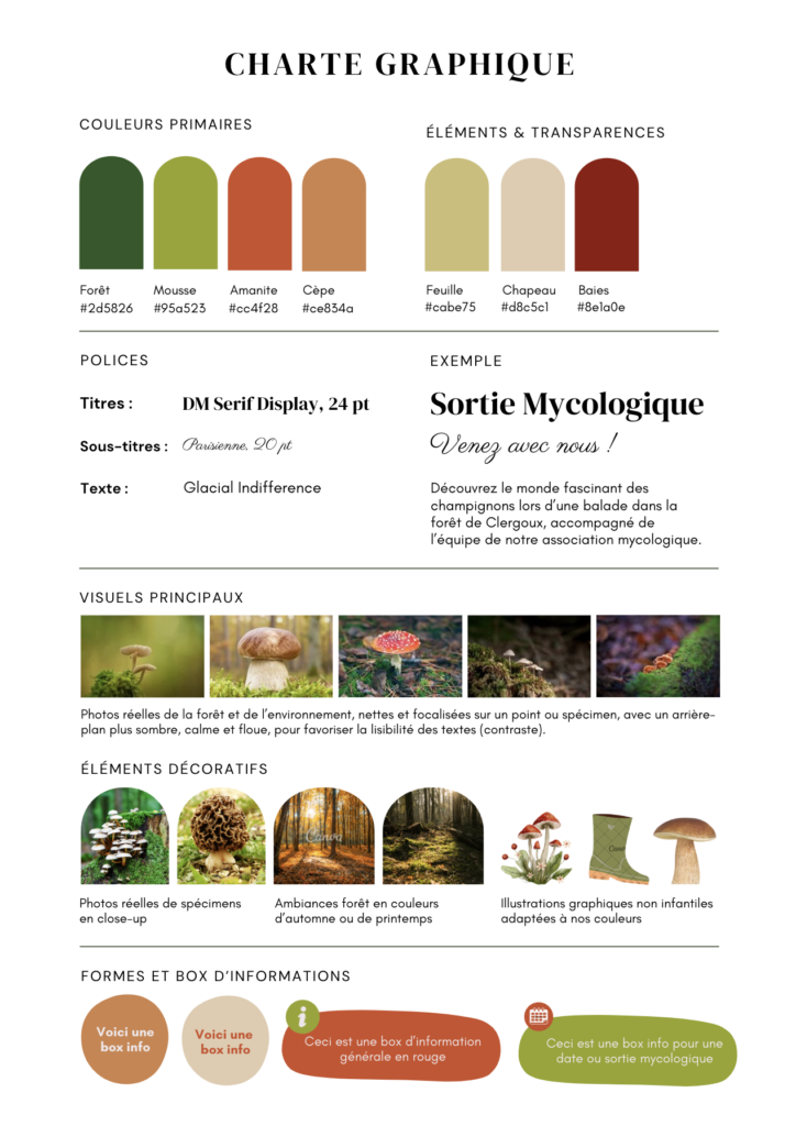 Identité de marque développée pour l'Association Mycologique de Corrèze