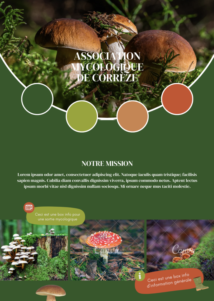 Brand Identity Manual pour une association