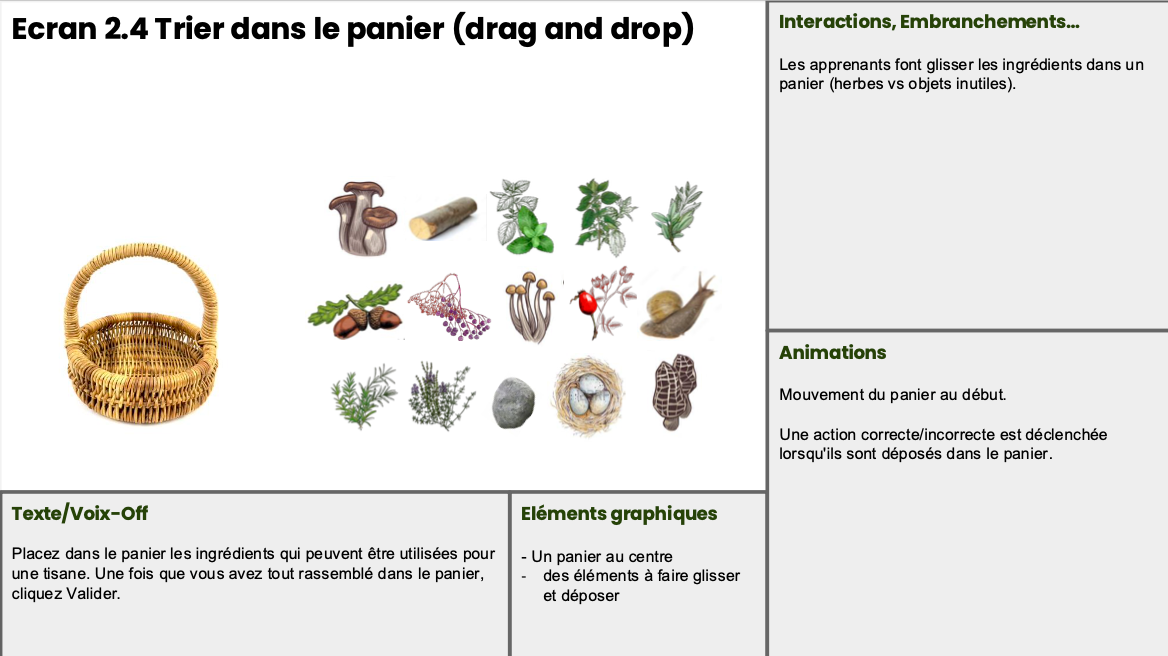 Storyboard pour le projet storyline