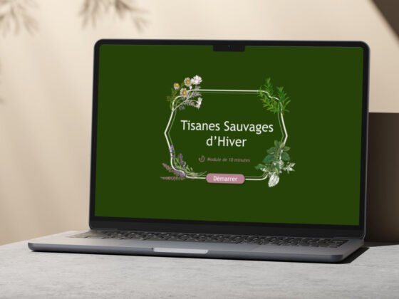 Case Module e-learning Storyline "Tisanes Sauvages d'Hiver"