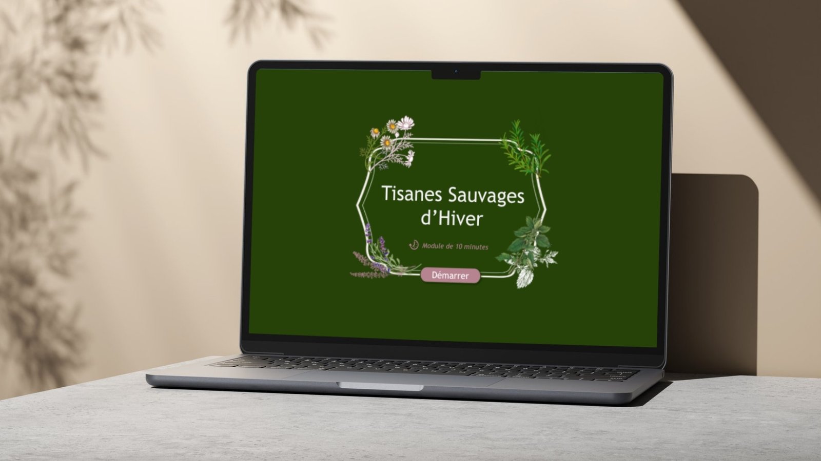 Case Module e-learning Storyline "Tisanes Sauvages d'Hiver"