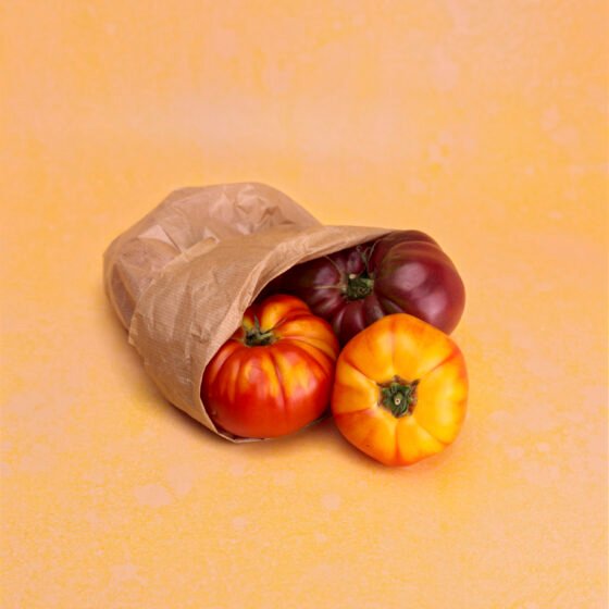 Photographie d'un sachet rempli de tomates